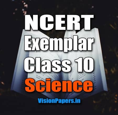 NCERT Exemplar Class 10 Science in English, Hindi