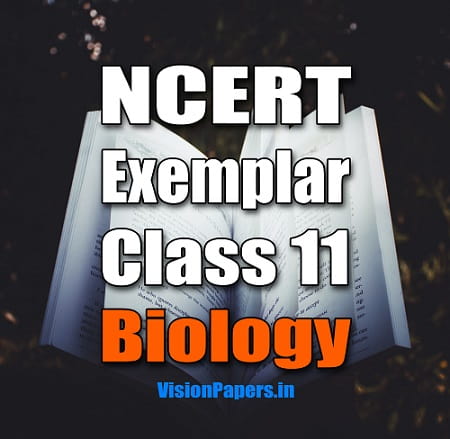 NCERT Exemplar Class 11 Biology in English, Hindi, Gujarati