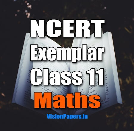 NCERT Exemplar Class 11 Maths in Hindi, English